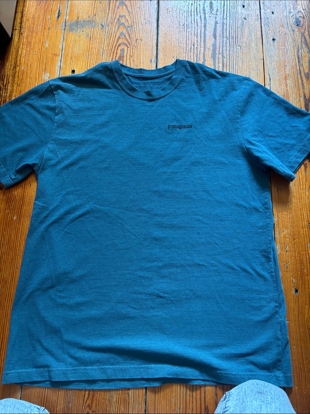 Patagonia Short-Sleeve Crewneck T-Shirt in Teal Blue
